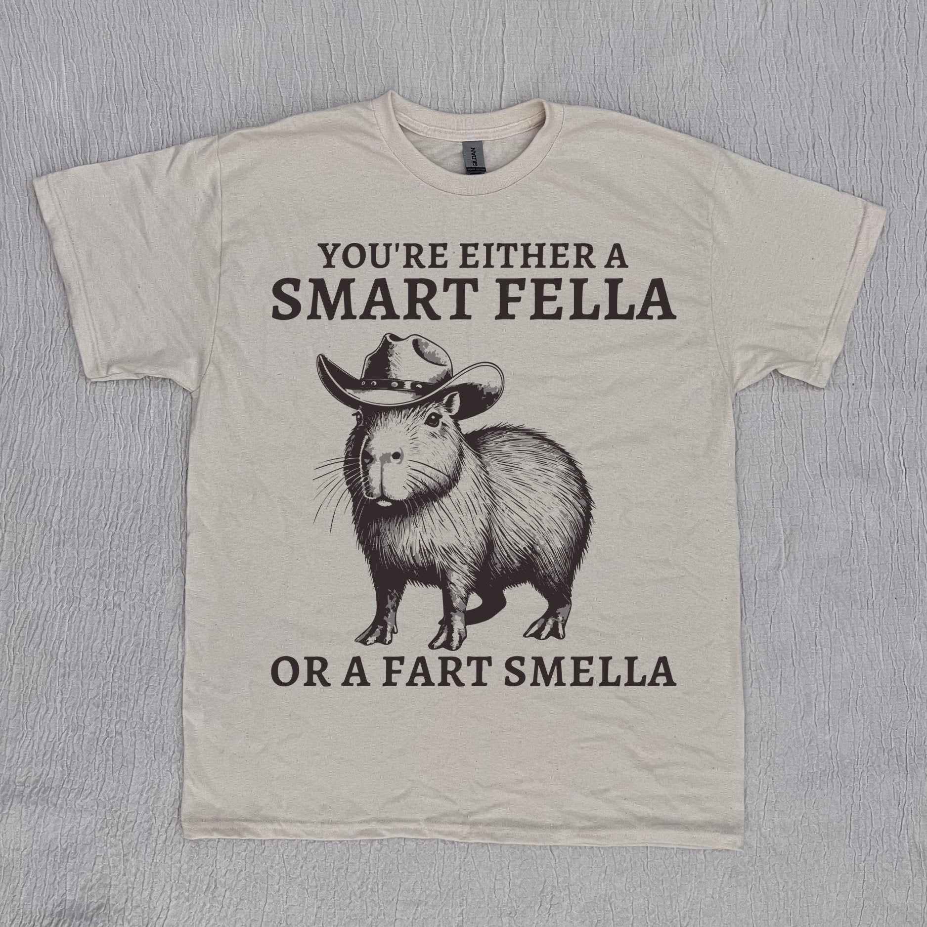 Retro Smart Fella Capybara 90s Shirt